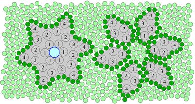 Reversible binding of divalent cations to Ductin protein assemblies—A putative new regulatory mechanism of membrane traffic processes